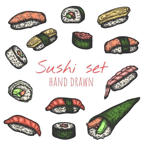 Tipos De Sushi Vector Conjunto Dibujado A Mano Ilustraciones De Boceto