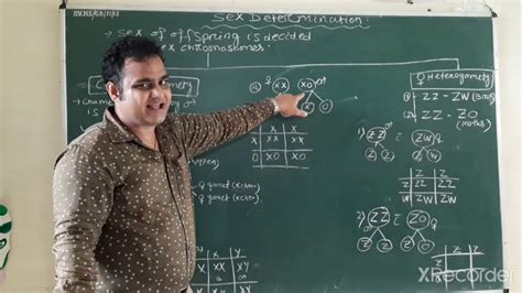 Part Sex Determination Class XII BIO YouTube