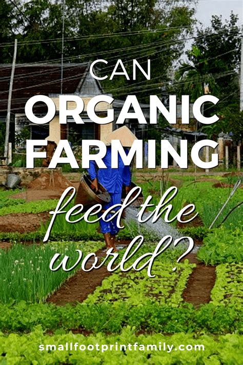 Can Organic Food Production Feed The World Investigating The Potential Of Organic Farming For