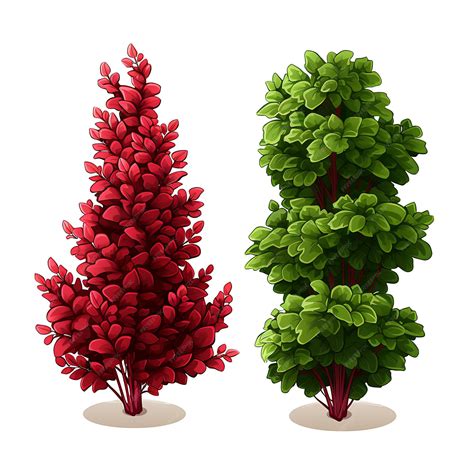 Premium AI Image | A Set of Barberry Bushes Shaped Into Pyramidal