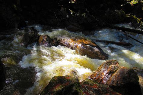 Creek Rushing Water Free Photo On Pixabay Pixabay