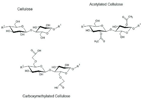 representation  modified cellulose  scientific diagram