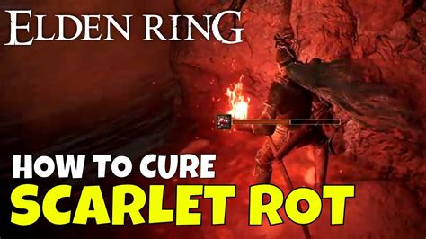 Elden Ring How To Cure Scarlet Rot YouTube