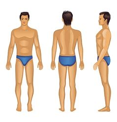 Naked Standing Man Royalty Free Vector Image Vectorstock