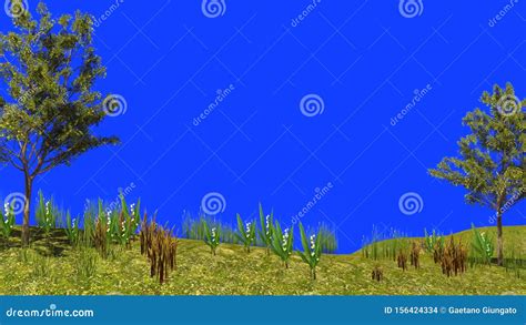 3d Rendering Of Grasses And Trees Swaying In The Wind Stock Footage Video Of Wind Forest