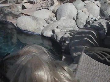 Amateur Hardcore Notorious Productions Unlimited Streaming At