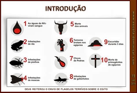 Quais São As 7 Pragas - As Pragas Do Egito - GITEDU