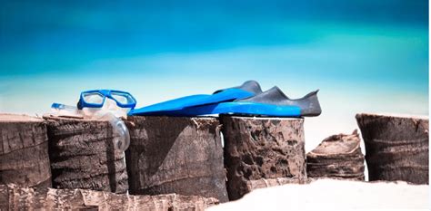 Cozumel Snorkeling Adventure