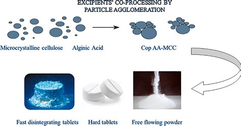 Development and pharmaceutical performance of a novel co-processed ...