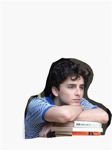 Timothee Chalamet Elio Sticker For Sale By Lustrovsdesigns Redbubble