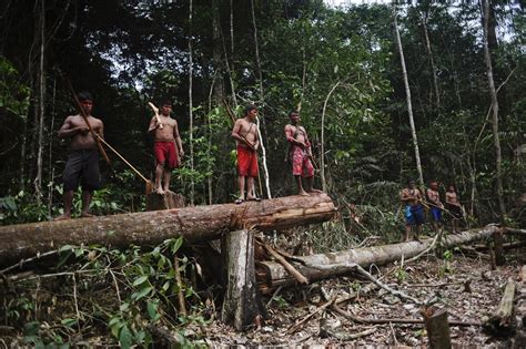 Fotos Ndios Mundurucus Lutam Contra O Garimpo Ilegal Em Suas Terras