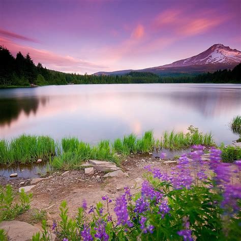 58+ Nature Wallpaper and Screensavers
