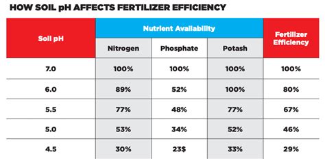 Soil PH Keys Soil Fertility