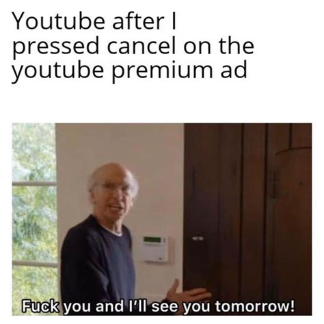 Youtube After I Pressed Cancel On The YouTube Premium Ad Fuck You And I Ll See You Tomorrow