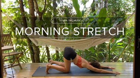 10 Min Morning Yoga Full Body Stretch All Levels No Props Youtube