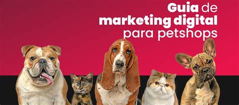 Marketing Digital Para Pet Shops Um Super Guia Da AllPet All Pet