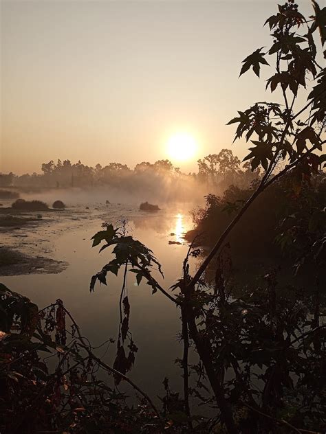 Cienega Grande En La Ciudad Xochimilco Ciudad De M Xico