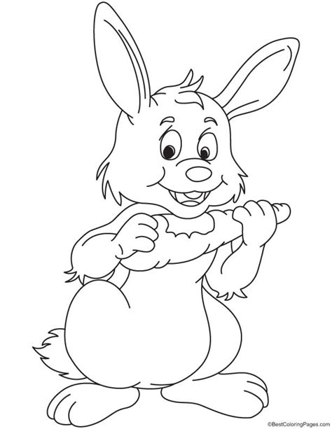 Bunny eating carrot coloring page