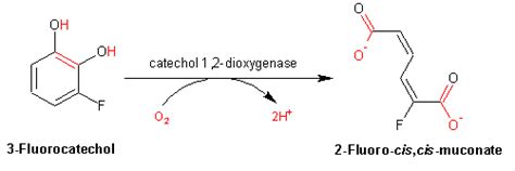 Eawag Bbd Reaction Reacid R1223