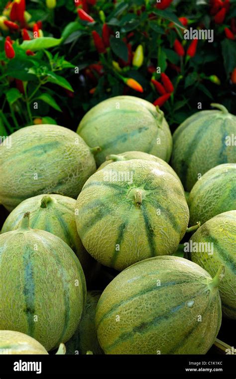 France Bouches Du Rhone Aix En Provence Market Of Fruits And