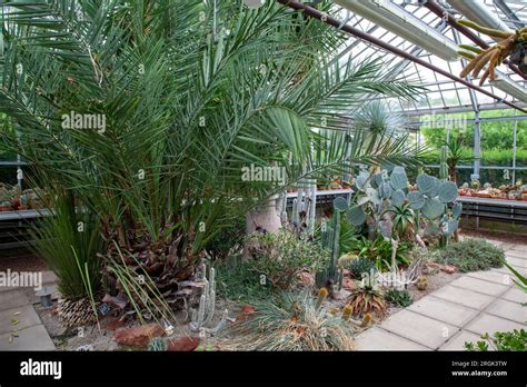 The Walled Garden Of Cannington Stock Photo Alamy
