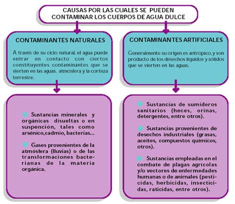 ¿cómo Se Contamina El Agua Icarito