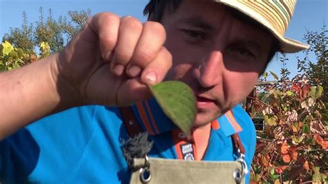 Эксклюзив этого лета Самарская Лидия, Скайфолл, Сбежавшая Невеста ...