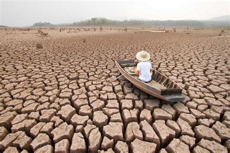 Desertificazione cos è cause conseguenze e come combatterla Ecoo it