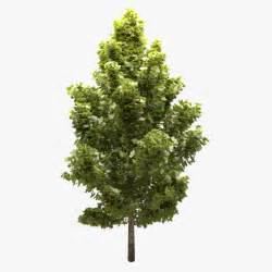 Tree 3d Obj