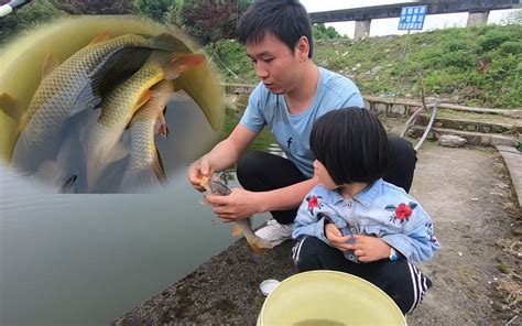 小伙去鱼塘钓鱼，一个小时收获满满，拿回家做个红烧藿香鲤鱼哔哩哔哩bilibili