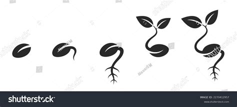 Seed Sprouting Icon Set Sprout Planting Stock Vector Royalty Free