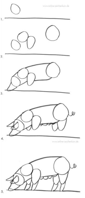 Schweine zeichnen Anleitung für Kinder und Einsteiger