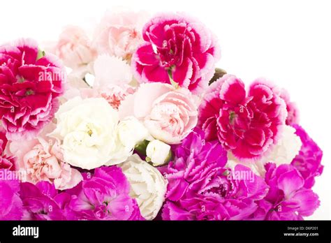 Beautiful Bunch Of Dianthus Caryphyllus Stock Photo Alamy