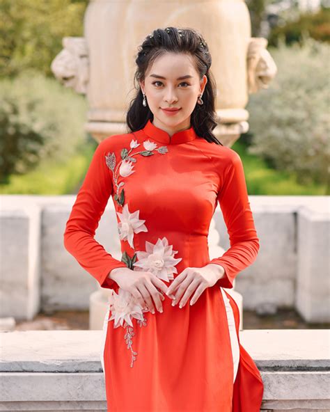 Pin By Phạm Bích Liên On Áo Dài Vietnamese Long Dress Ao Dai Dress