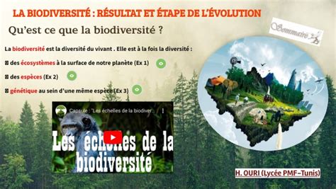 Qcm La Biodiversit R Sultat Et Tape De L Volution T