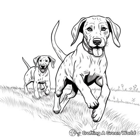 German Shorthaired Pointer Coloring Pages Free Printable