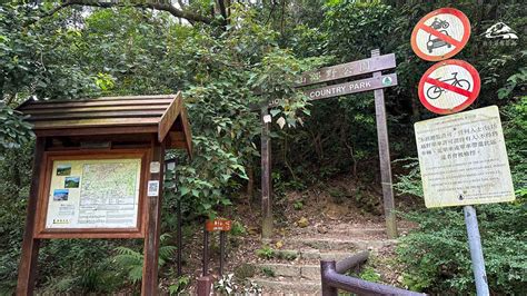 獅子山行山路線推介︱八仙徑接回歸徑攻略 山全部都係山