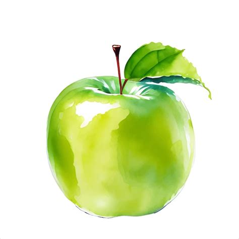 Fruta de manzana verde fresca con vector de ilustración de pintura de