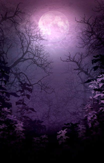 Fairytale Purple Background Magic Background Black And Purple