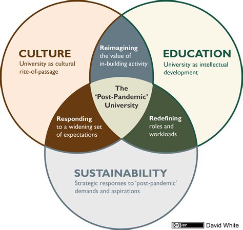 Culture Education