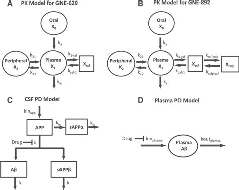 Schematic Representation Of The Mechanistic PK PD Model For BACE1