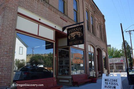 Digging for Fossils - City Of Fossil | Eastern Oregon - Oregon Discovery