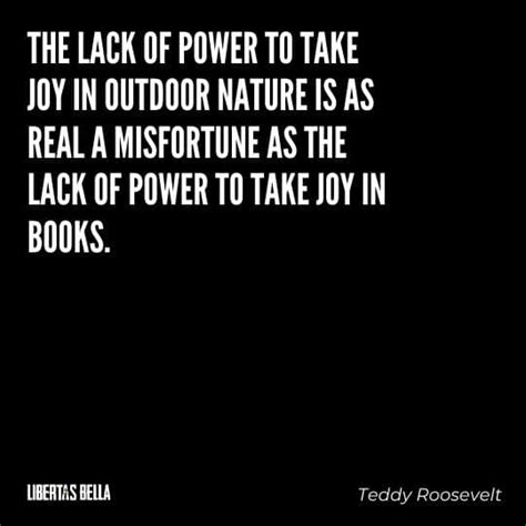 Our Favorite Teddy Roosevelt Quotes (40+) | Libertas Bella