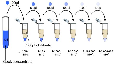 Serial Dilutions YouTube