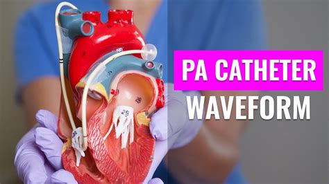 PA Catheter Waveform Interpretation Made Easy YouTube