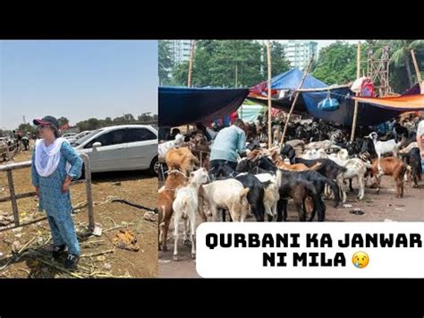 Eid Ke Pehle Din Qurbani Ni Ho Saki Mandiyon Mai Se Bakre Gaib