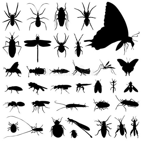 Set Of Insect Vector Silhouettes In Black And White