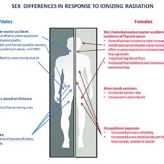 Pdf Sex Difference Of Radiation Response In Occupational And Accidental Exposure