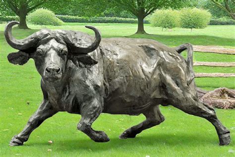 Bronze Buffalo Statue Wildlife Garden Sculpture