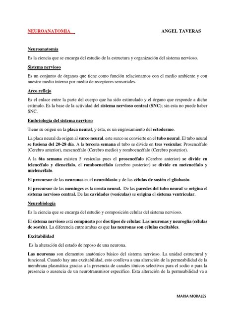 Resumen Completo Angel Taveras Neuroanatomia Descargar Gratis Pdf